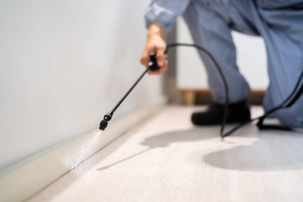 Licensed Exterminator service in Stafford Courthouse, VA - Show Me Pest Control