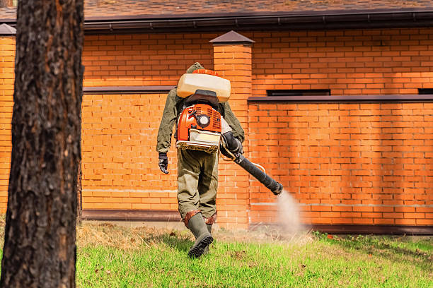 Cockroach Follow-Up and Monitoring in Stafford Courthouse